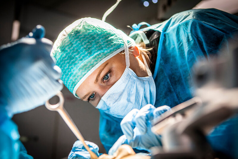 Medical device development, testing and manufacturing practices and standards training and certification.