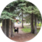Wrangell Mountain Homestead Avatar